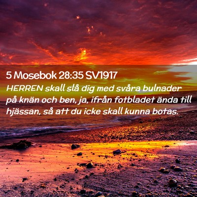 Picture 02 - 5 Mosebok 28:35 SV1917 - HERREN skall slå dig med svåra bulnader på - Bible Verse Picture