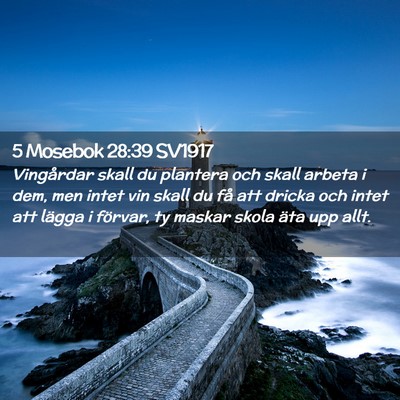 Picture 02 - 5 Mosebok 28:39 SV1917 - Vingårdar skall du plantera och skall arbeta i - Bible Verse Picture