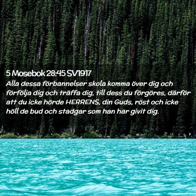 Picture 02 - 5 Mosebok 28:45 SV1917 - Alla dessa förbannelser skola komma över dig - Bible Verse Picture