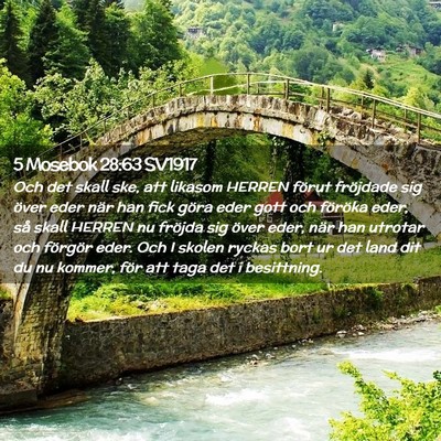 Picture 02 - 5 Mosebok 28:63 SV1917 - Och det skall ske, att likasom HERREN förut - Bible Verse Picture