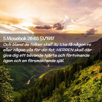 Picture 02 - 5 Mosebok 28:65 SV1917 - Och bland de folken skall du icke få någon ro - Bible Verse Picture