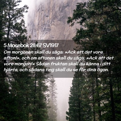 Picture 02 - 5 Mosebok 28:67 SV1917 - Om morgonen skall du säga: »Ack att det vore - Bible Verse Picture