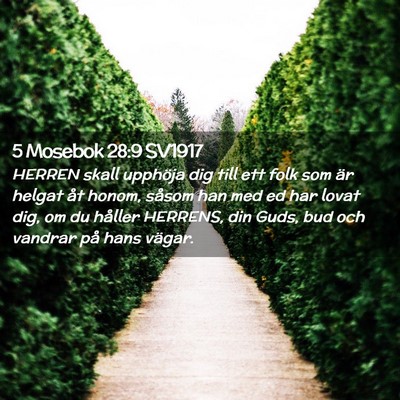 Picture 02 - 5 Mosebok 28:9 SV1917 - HERREN skall upphöja dig till ett folk som är - Bible Verse Picture