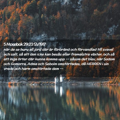 Picture 02 - 5 Mosebok 29:23 SV1917 - när de se huru all jord där är förbränd och - Bible Verse Picture