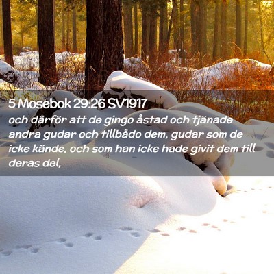 Picture 02 - 5 Mosebok 29:26 SV1917 - och därför att de gingo åstad och tjänade - Bible Verse Picture