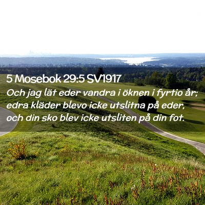 Picture 02 - 5 Mosebok 29:5 SV1917 - Och jag lät eder vandra i öknen i fyrtio år; - Bible Verse Picture