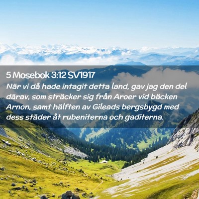 Picture 02 - 5 Mosebok 3:12 SV1917 - När vi då hade intagit detta land, gav jag den - Bible Verse Picture