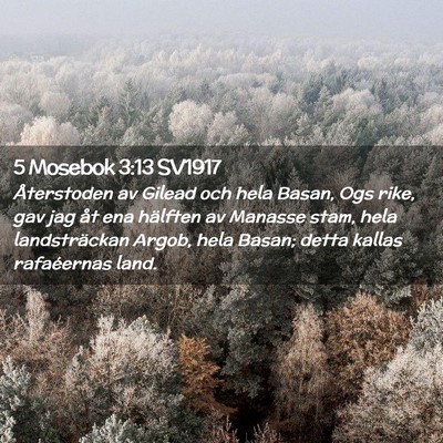 Picture 02 - 5 Mosebok 3:13 SV1917 - Återstoden av Gilead och hela Basan, Ogs rike, - Bible Verse Picture