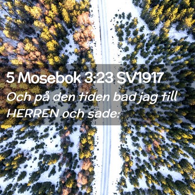Picture 02 - 5 Mosebok 3:23 SV1917 - Och på den tiden bad jag till HERREN och - Bible Verse Picture