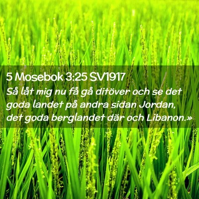 Picture 02 - 5 Mosebok 3:25 SV1917 - Så låt mig nu få gå ditöver och se det goda - Bible Verse Picture