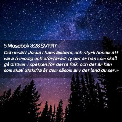 Picture 02 - 5 Mosebok 3:28 SV1917 - Och insätt Josua i hans ämbete, och styrk honom - Bible Verse Picture