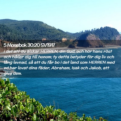 Picture 02 - 5 Mosebok 30:20 SV1917 - i det att du älskar HERREN, din Gud, och hör - Bible Verse Picture