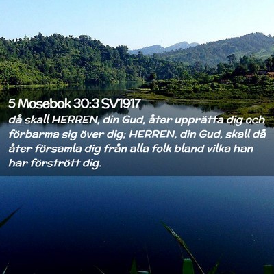 Picture 02 - 5 Mosebok 30:3 SV1917 - då skall HERREN, din Gud, åter upprätta dig - Bible Verse Picture