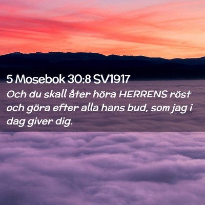 Picture 02 - 5 Mosebok 30:8 SV1917 - Och du skall åter höra HERRENS röst och göra - Bible Verse Picture
