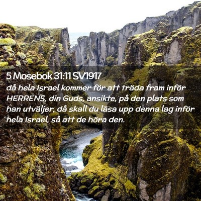 Picture 02 - 5 Mosebok 31:11 SV1917 - då hela Israel kommer för att träda fram - Bible Verse Picture