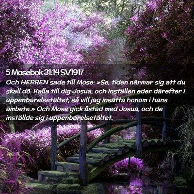 Picture 02 - 5 Mosebok 31:14 SV1917 - Och HERREN sade till Mose: »Se, tiden närmar - Bible Verse Picture