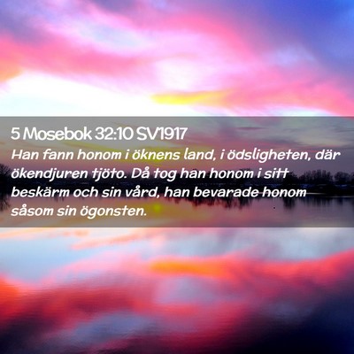 Picture 02 - 5 Mosebok 32:10 SV1917 - Han fann honom i öknens land, i ödsligheten, - Bible Verse Picture