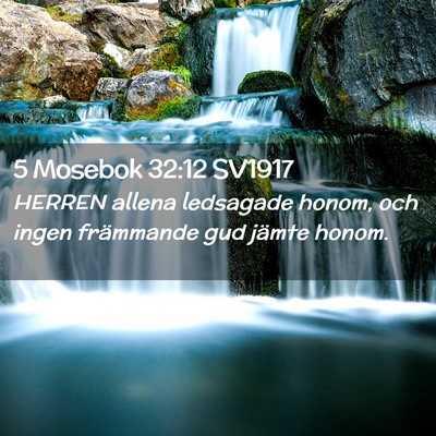 Picture 02 - 5 Mosebok 32:12 SV1917 - HERREN allena ledsagade honom, och ingen - Bible Verse Picture