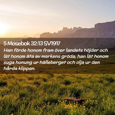 Picture 02 - 5 Mosebok 32:13 SV1917 - Han förde honom fram över landets höjder och - Bible Verse Picture