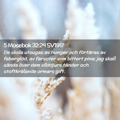 Picture 02 - 5 Mosebok 32:24 SV1917 - De skola utsugas av hunger och förtäras av - Bible Verse Picture