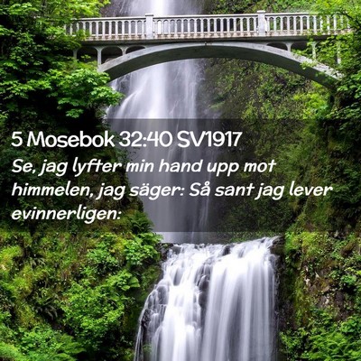 Picture 02 - 5 Mosebok 32:40 SV1917 - Se, jag lyfter min hand upp mot himmelen, jag - Bible Verse Picture
