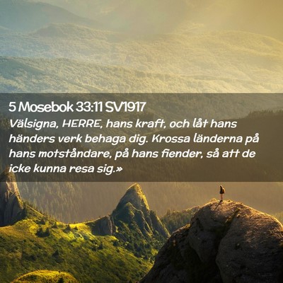 Picture 02 - 5 Mosebok 33:11 SV1917 - Välsigna, HERRE, hans kraft, och låt hans - Bible Verse Picture