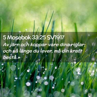 Picture 02 - 5 Mosebok 33:25 SV1917 - Av järn och koppar vare dina riglar; och så - Bible Verse Picture