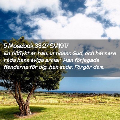 Picture 02 - 5 Mosebok 33:27 SV1917 - En tillflykt är han, urtidens Gud, och härnere - Bible Verse Picture