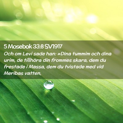 Picture 02 - 5 Mosebok 33:8 SV1917 - Och om Levi sade han: »Dina tummim och dina - Bible Verse Picture
