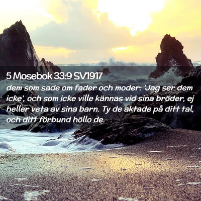 Picture 02 - 5 Mosebok 33:9 SV1917 - dem som sade om fader och moder: 'Jag ser dem - Bible Verse Picture