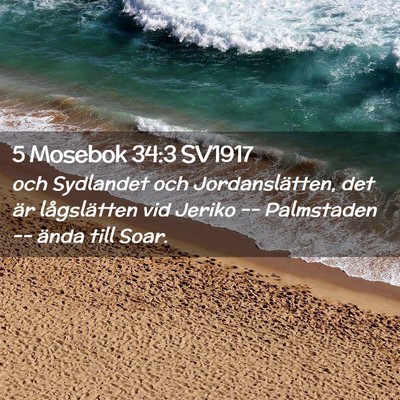 Picture 02 - 5 Mosebok 34:3 SV1917 - och Sydlandet och Jordanslätten, det är - Bible Verse Picture