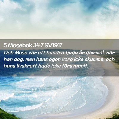 Picture 02 - 5 Mosebok 34:7 SV1917 - Och Mose var ett hundra tjugu år gammal, när - Bible Verse Picture