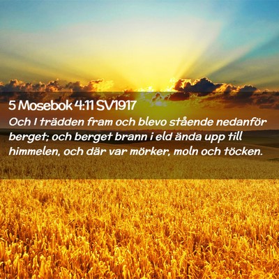 Picture 02 - 5 Mosebok 4:11 SV1917 - Och I trädden fram och blevo stående nedanför - Bible Verse Picture