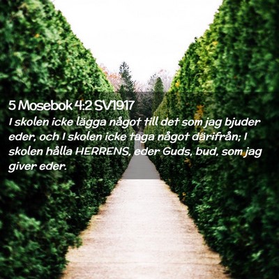 Picture 02 - 5 Mosebok 4:2 SV1917 - I skolen icke lägga något till det som jag - Bible Verse Picture