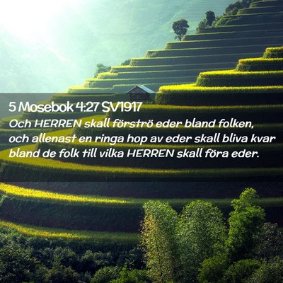 Picture 02 - 5 Mosebok 4:27 SV1917 - Och HERREN skall förströ eder bland folken, och - Bible Verse Picture