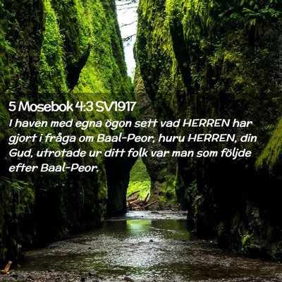 Picture 02 - 5 Mosebok 4:3 SV1917 - I haven med egna ögon sett vad HERREN har gjort - Bible Verse Picture