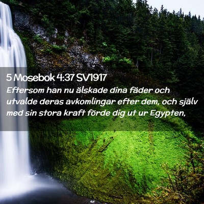 Picture 02 - 5 Mosebok 4:37 SV1917 - Eftersom han nu älskade dina fäder och utvalde - Bible Verse Picture