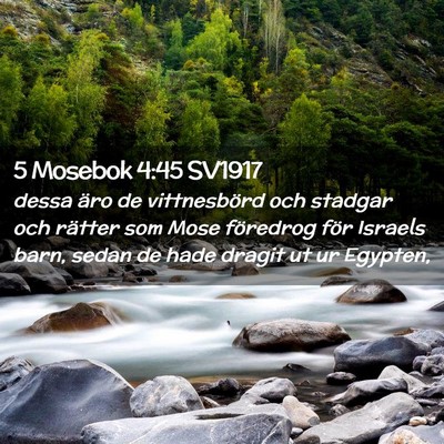 Picture 02 - 5 Mosebok 4:45 SV1917 - dessa äro de vittnesbörd och stadgar och - Bible Verse Picture