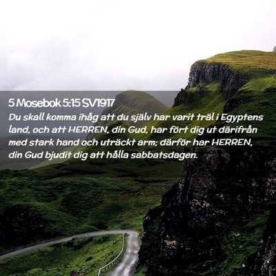 Picture 02 - 5 Mosebok 5:15 SV1917 - Du skall komma ihåg att du själv har varit - Bible Verse Picture