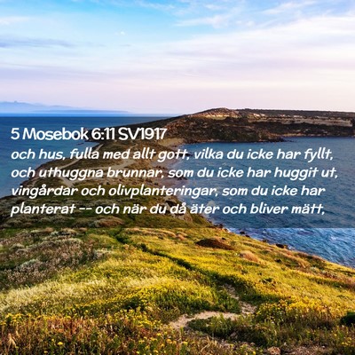 Picture 02 - 5 Mosebok 6:11 SV1917 - och hus, fulla med allt gott, vilka du icke har - Bible Verse Picture