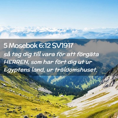 Picture 02 - 5 Mosebok 6:12 SV1917 - så tag dig till vara för att förgäta HERREN, - Bible Verse Picture