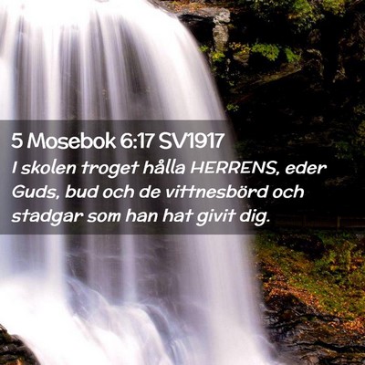 Picture 02 - 5 Mosebok 6:17 SV1917 - I skolen troget hålla HERRENS, eder Guds, bud - Bible Verse Picture