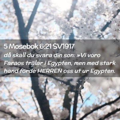 Picture 02 - 5 Mosebok 6:21 SV1917 - då skall du svara din son: »Vi voro Faraos - Bible Verse Picture