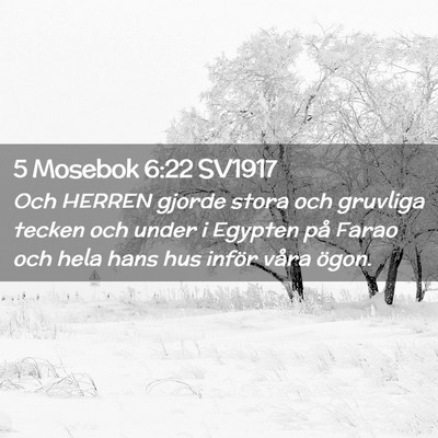 Picture 02 - 5 Mosebok 6:22 SV1917 - Och HERREN gjorde stora och gruvliga tecken och - Bible Verse Picture