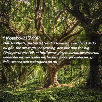 Picture 02 - 5 Mosebok 7:1 SV1917 - När HERREN, din Gud låter dig komma in i det - Bible Verse Picture