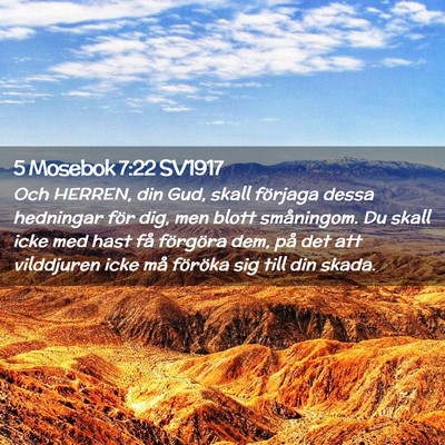 Picture 02 - 5 Mosebok 7:22 SV1917 - Och HERREN, din Gud, skall förjaga dessa - Bible Verse Picture