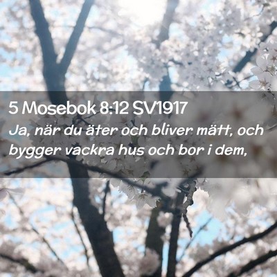 Picture 02 - 5 Mosebok 8:12 SV1917 - Ja, när du äter och bliver mätt, och bygger - Bible Verse Picture