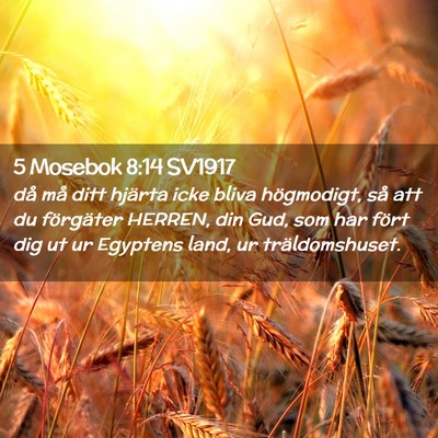 Picture 02 - 5 Mosebok 8:14 SV1917 - då må ditt hjärta icke bliva högmodigt, så - Bible Verse Picture