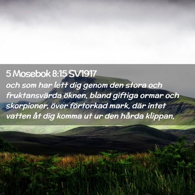 Picture 02 - 5 Mosebok 8:15 SV1917 - och som har lett dig genom den stora och - Bible Verse Picture