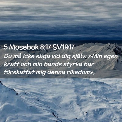 Picture 02 - 5 Mosebok 8:17 SV1917 - Du må icke säga vid dig själv: »Min egen - Bible Verse Picture